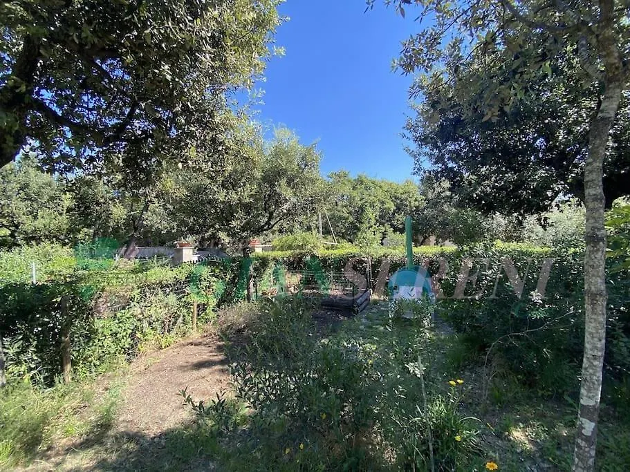 7 Posti Letto Con Accesso Diretto Al Mare - Papi Lejlighed San Vincenzo
